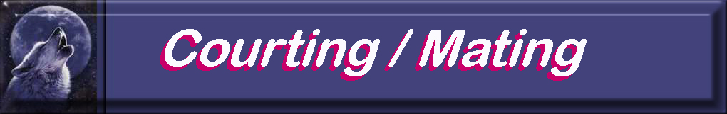 Courting/Mating